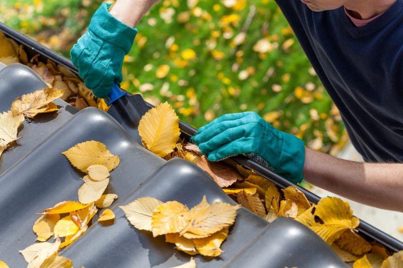 Late Fall Gutter Care